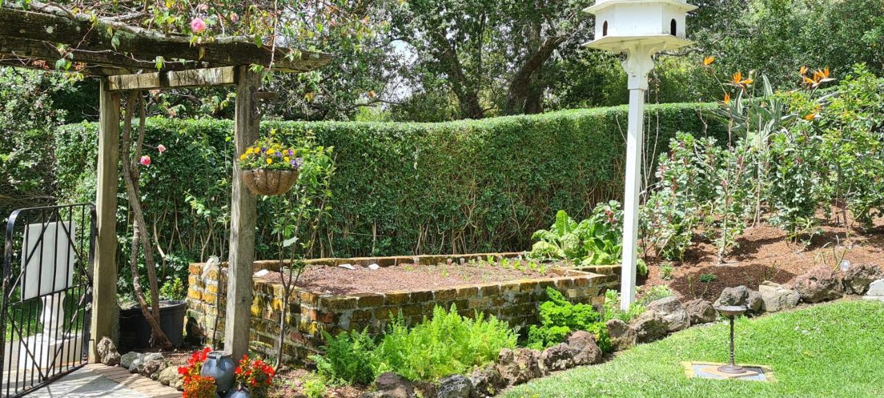 Dovecote House Bed and Breakfast Όκλαντ Εξωτερικό φωτογραφία