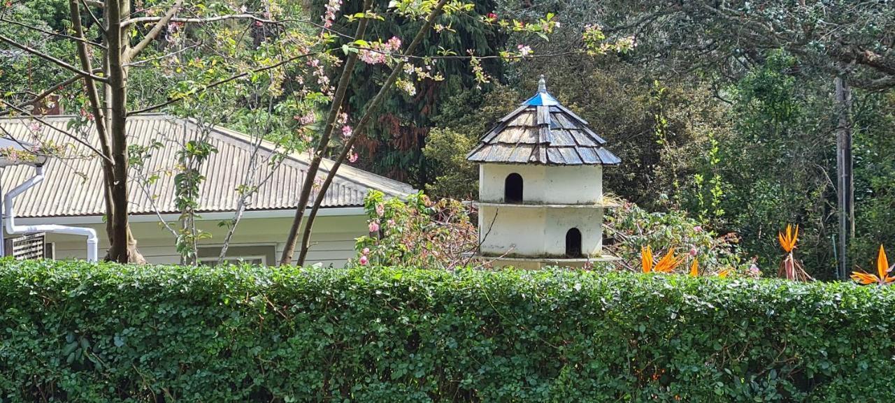 Dovecote House Bed and Breakfast Όκλαντ Εξωτερικό φωτογραφία