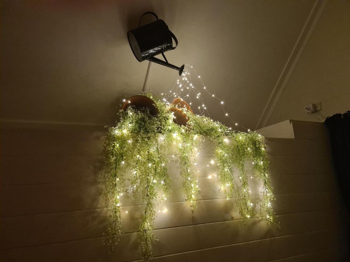 Dovecote House Bed and Breakfast Όκλαντ Εξωτερικό φωτογραφία